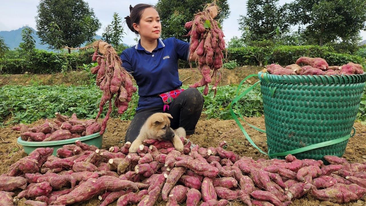 Lý Thị Ca đạt 1 triệu theo dõi