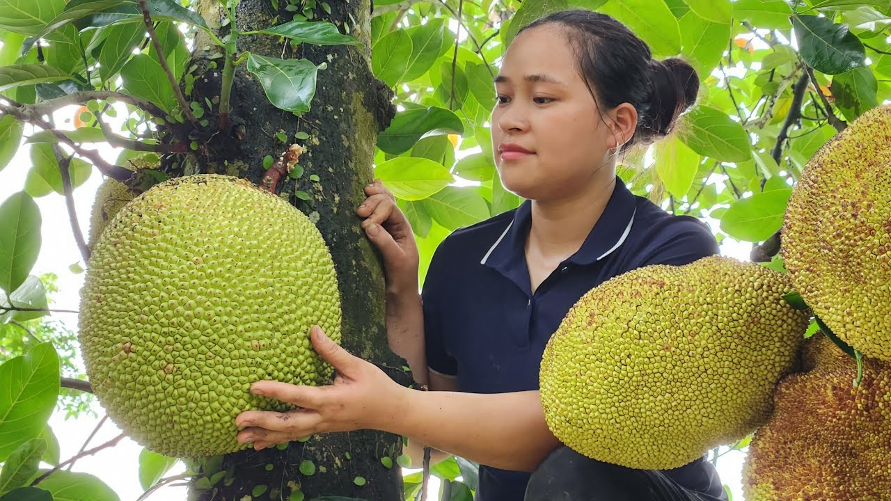 Lý Thị Ca là ai