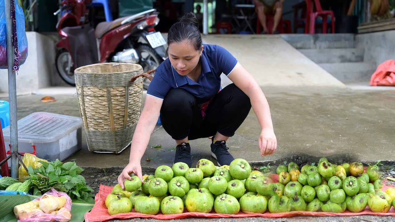 Lý Thị Ca Việt Nam