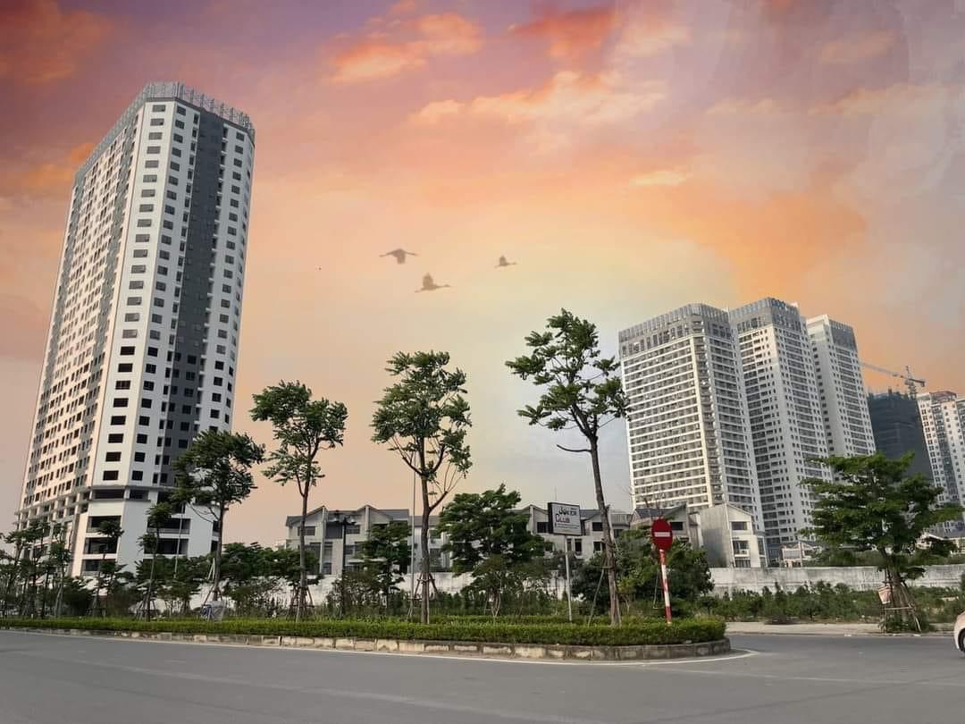 flc đại mỗ
