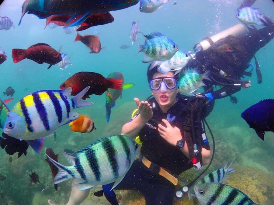 mhdi cam ranh