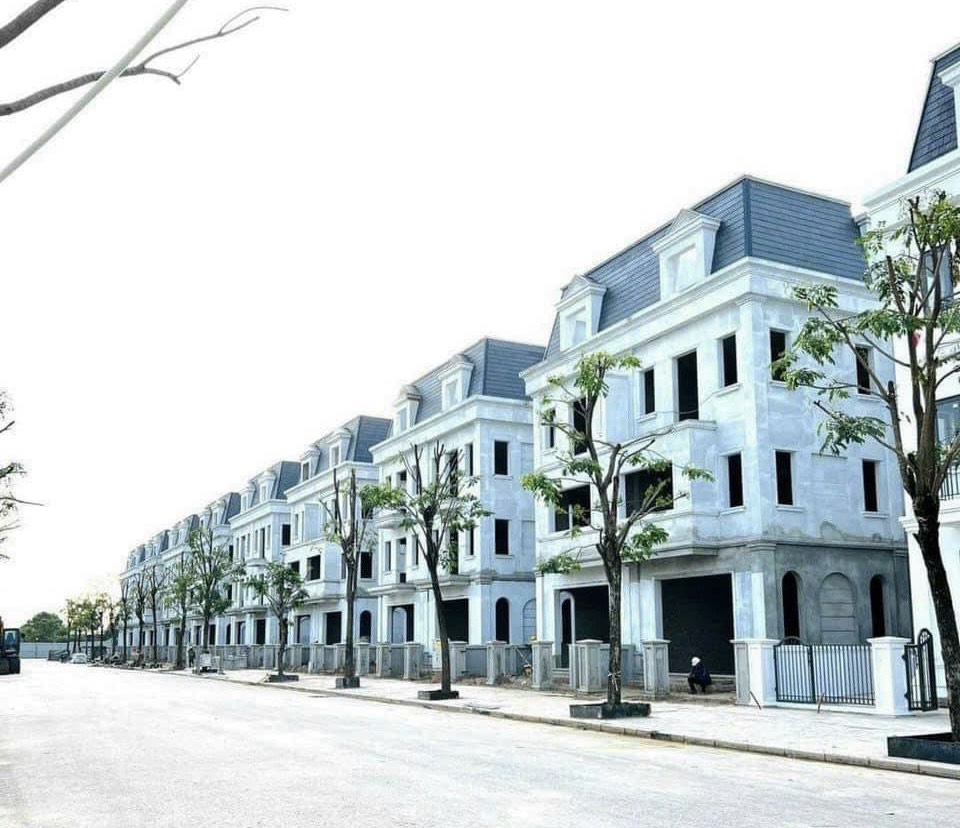 dự án Solasta Mansion