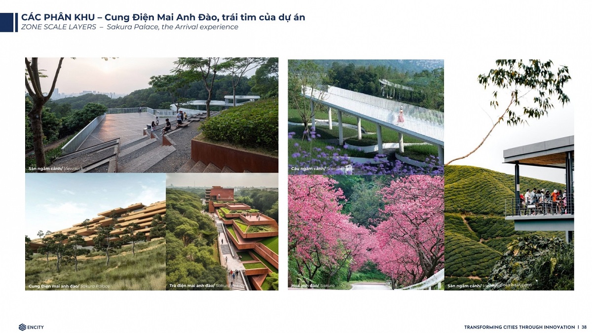 Eco Sapa Khu đô thị sinh thái đồi chè Ô Quý Hồ khu Mai anh đào tiện ích